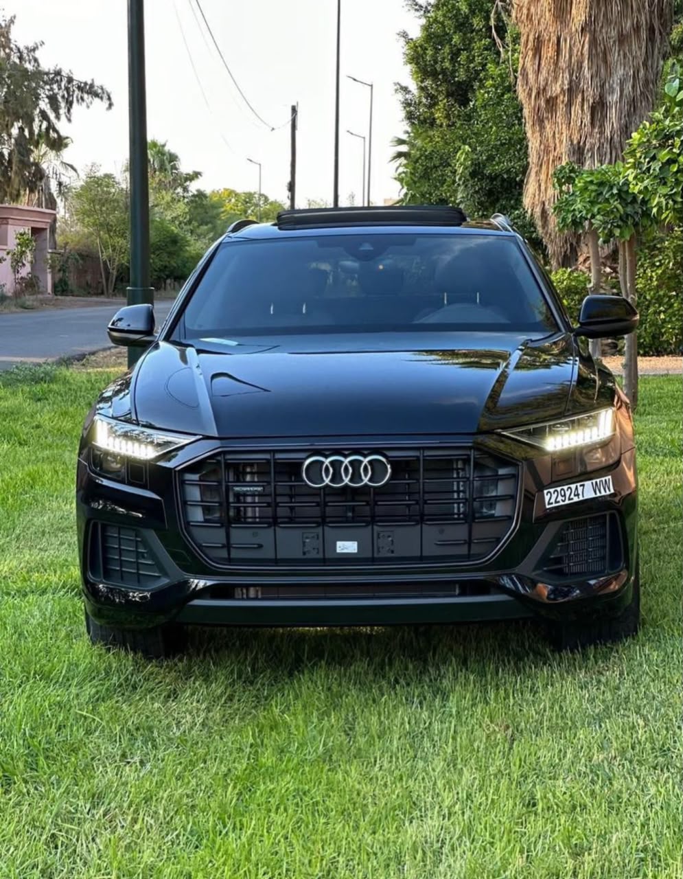 Audi Q8 S-Line